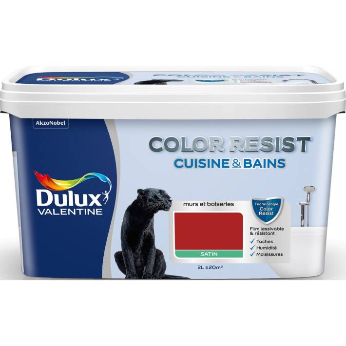Color Resist Farbe für Küche + Bad, satin